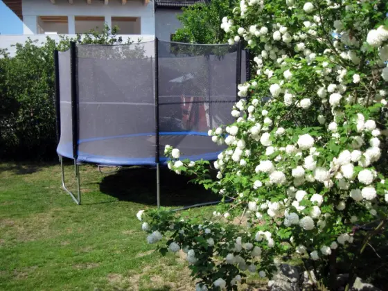 Trampolina dla dzieci w ogrodzie